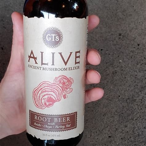 Gts Alive Root Beer Elixir Reviews Abillion