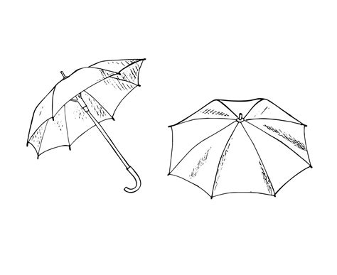 Set Of Two Umbrellas In Various Positions Opened Umbrellas Hand Drawn