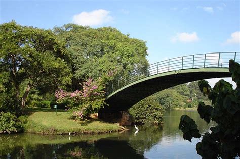 O Que Fazer No Parque Ibirapuera Veja As Melhores Atra Es E Curiosidades