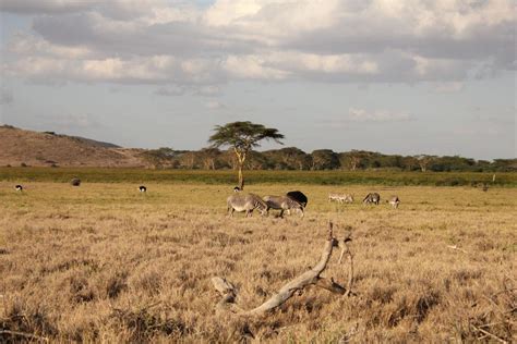 Laikipia Plateau | Join Up Safaris