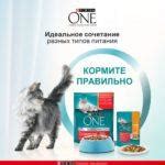 Purina One корм для кошек (Пурина Ван): отзывы ветеринаров, сухой и ...