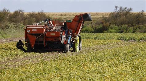 Souveraineté Agricole Que Contient Le Projet De Loi Qui Doit être