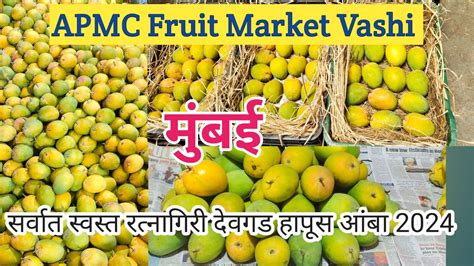 Apmc Vashi Fruit Market L Latest Alphanso Mango Rate L