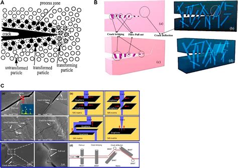 Frontiers Ceramic Toughening Strategies For Biomedical Applications