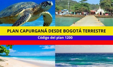 Plan Capurgan Desde Bogot Terrestre Y Mar Timo Noches D As