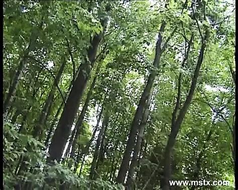 Orgasme En Direct Free Porn Video 66 XHamster