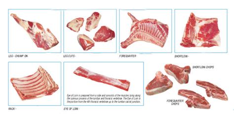 Daging Sapi Kg Terbaik Terbaru Harga Murah Aqiqah Al Aqsha