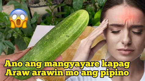 Ganito Pala Ang Mangyayare Kapag Araw Arawin Mo Ang Pipino Youtube