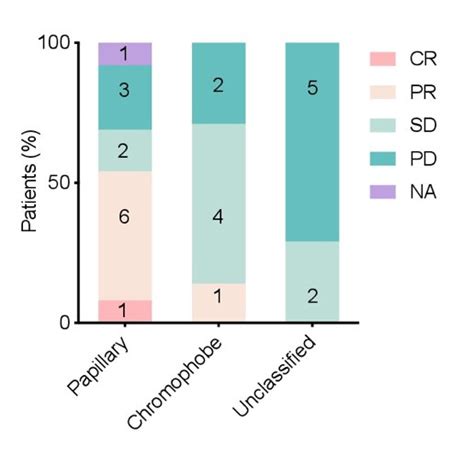 Asco Gu Safety And Differential Clinical Activity Of Nivolumab