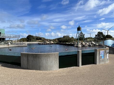 Grey + Harbour Seal Exhibit - ZooChat