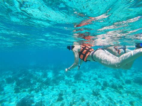 Isla Mujeres Snorkeling Adventure At The Underwater Museum Getyourguide