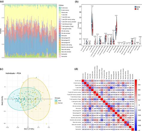 Evaluation And Visualization Of Immune Cell Infiltration By Cibersort