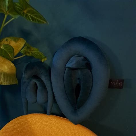 Vulva Pillows Anatomy Set Plushy Puppets For Sex Education Etsy