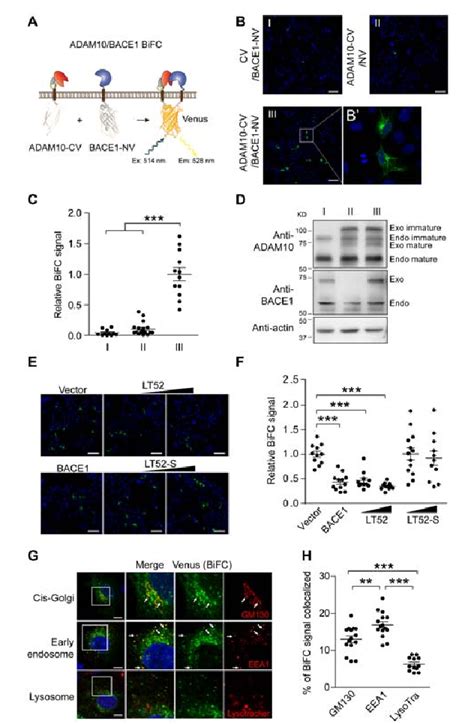 Figure 1 from Visualization of Alzheimers Disease Related α β γ