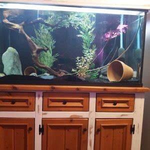 90 Gallon Fish Tank | British Columbia Aquarium Forums