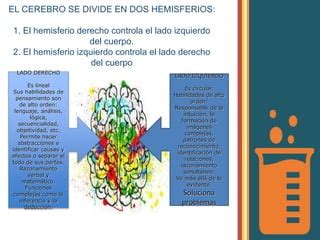 Importancia De La Neurociencias En La Educaci N Superior Ppt