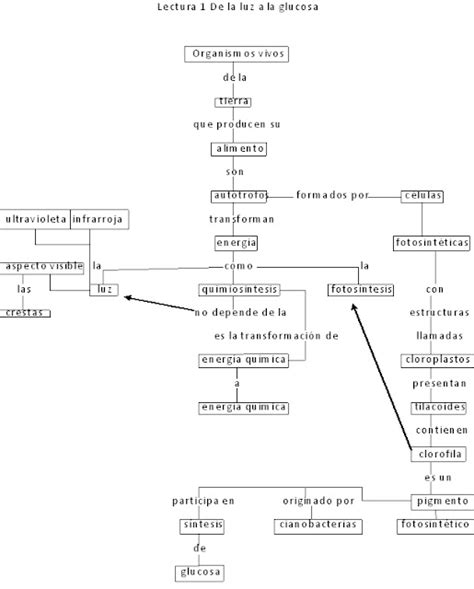 Biologia III Eloy Moises Grupo 528 Lectura 1 De La Luz A La Glucosa