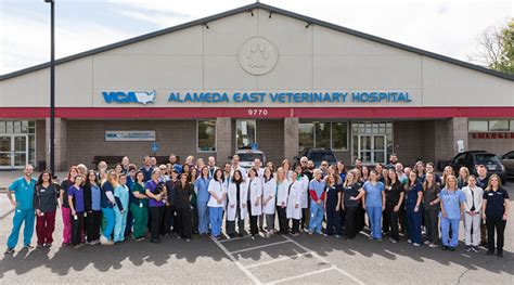 Veterinarians In Denver Co Vca Alameda East Veterinary Hospital