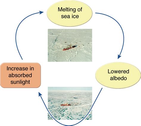 Ice Albedo Feedback Process Grid Arendal