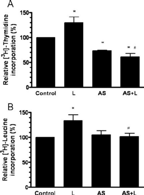 Leptin Effect On Cellular Growth And Proliferation Is Impaired In Sam