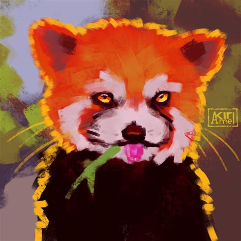 Red Panda By Akirmel On Deviantart