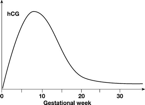 Serum Hcg Level Chart