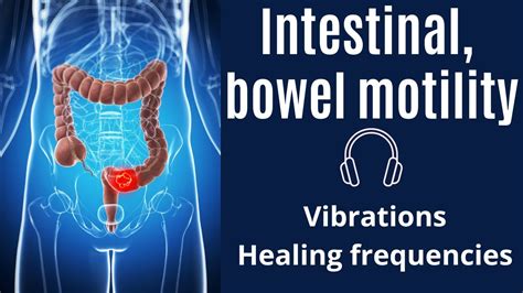 Intestinal Bowel Motility Treatment Vibrations Binaural Beats