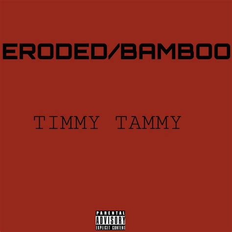 Eroded Bamboo Single By Timmy Tammy Spotify