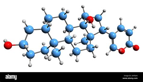 3D image of Bufadienolid skeletal formula - molecular chemical ...