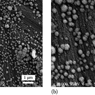 9 SEM Images Of A Untreated Aluminum And B Porous Aluminum Surface