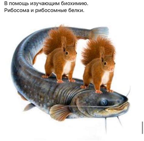 Полезная инфографика | Пикабу