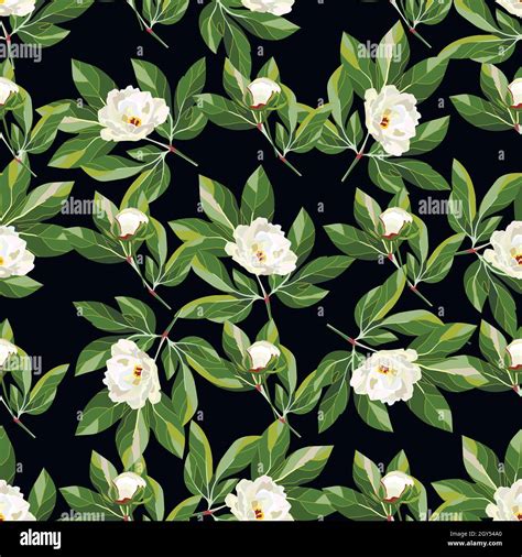 Seamless floral pattern with white peonies and decorative herbs on ...