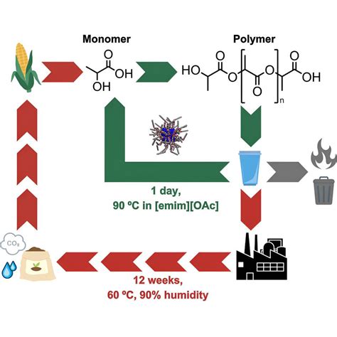 An enzyme used in laundry detergent can recycle single-use plastics ...