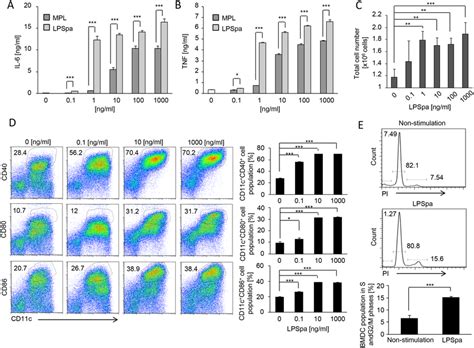 Cytokine Production Proliferation And Maturation Of Bmdcs After