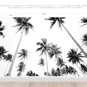 Black and White Palm Tree Wall Mural, Tropical Tree Wallpaper, Self ...