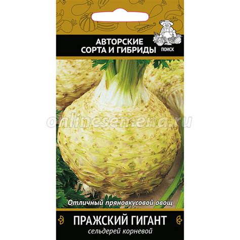 Сельдерей корневой Пражский гигант из каталога Семена овощей – купить с ...