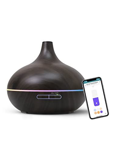 11 Best Smart Aroma Diffuser for 2023 | CitizenSide