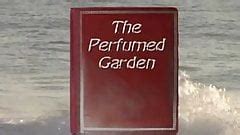 Lovers Guide Sex Positions Free American Dad Sex Porn Video