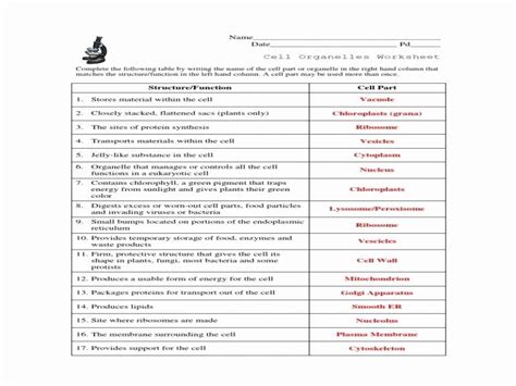 Organelle Identification Worksheet Printable Word Searches