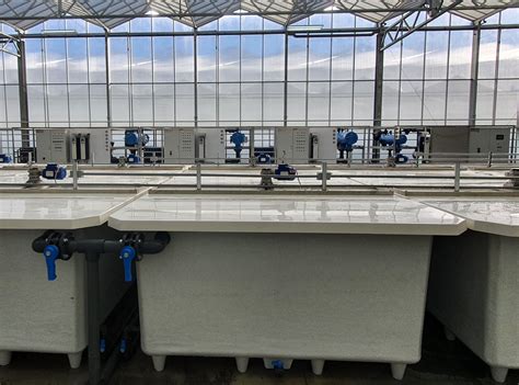 Red Sun Farms - Tebarex B.V.