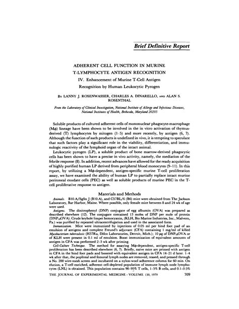 Pdf Adherent Cell Function In Murine T Lymphocyte Antigen Recognition