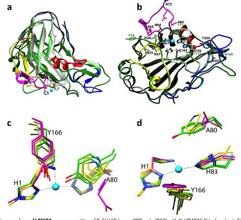 Figure From Structural And Functional Characterization Of A Lytic