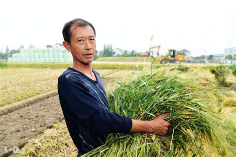 農民為什麼不願意放棄農村土地？這幾個農民講了實情，句句真理 每日頭條