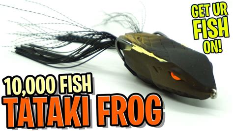 Fish Tataki Frog Topwater Bass Fishing Frog Lure Angler Hq