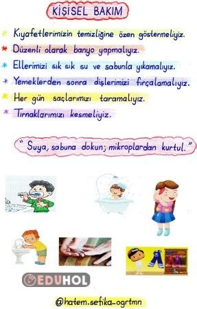 S N F Hayat Bilgisi Ki Isel Eduhol Etkinlik Ndir Oyun Oyna