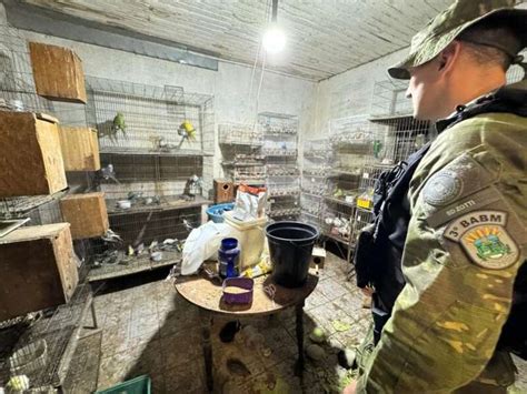 Brigada Militar Resgata Mais De Animais Em Situa O De Maus Tratos