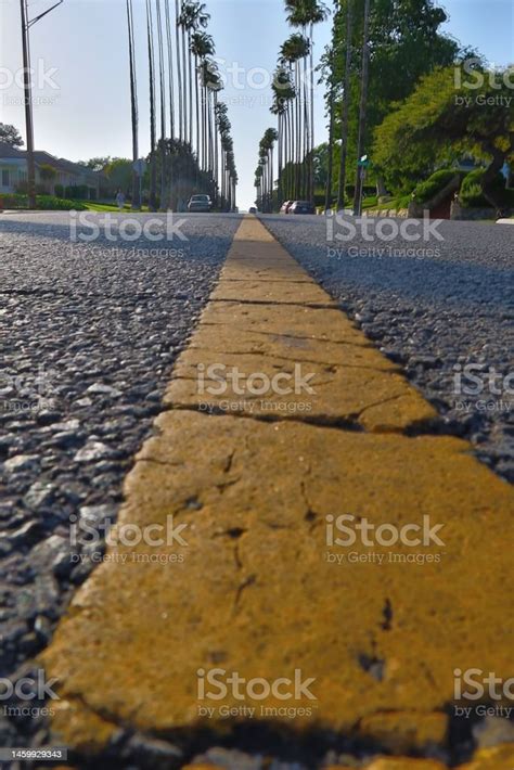 Closeup Of Yellow Centerline On Cracked Avenue With Rows Of Tall Palm