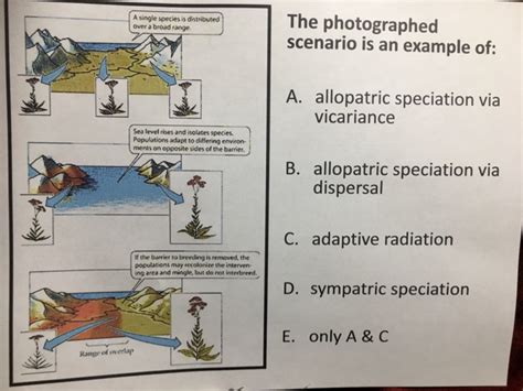 Solved Dispersal Examples • Test your knowledge: are these | Chegg.com