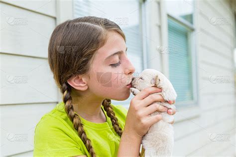 女孩亲吻小狗吉娃娃宠物狗