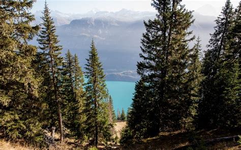 Augstmatthorn Von Habkern Zum Harder Kulm Kulm Natural Landmarks Vons